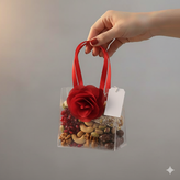 بگ پلکسی شفاف